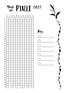 Year-in-Pixels-2022-Passion-Planner-M-Floral
